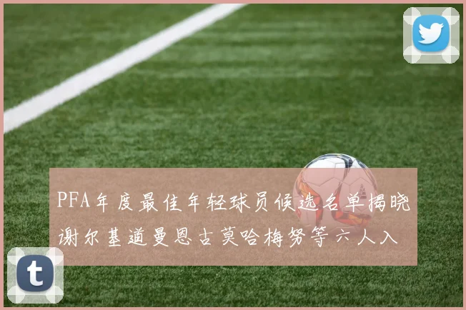 PFA年度最佳年轻球员候选名单揭晓谢尔基道曼恩古莫哈梅努等六人入围